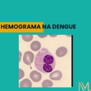 Hemograma na dengue