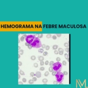 hemograma na febre maculosa