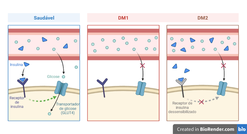 Diabetes Mellitus