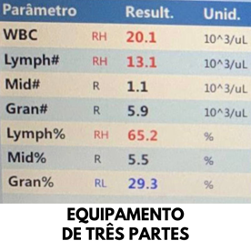 automação