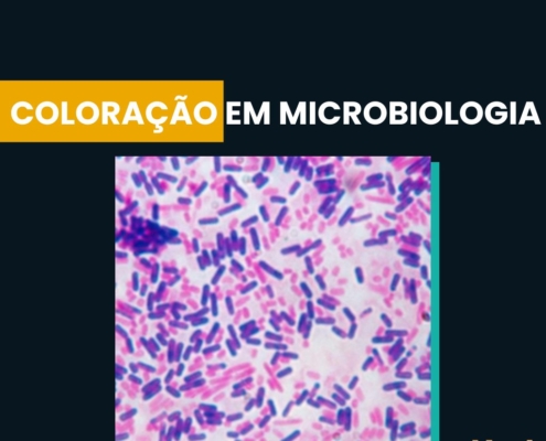 Métodos de coloração em microbiologia