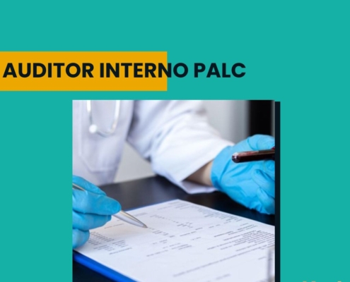 auditor interno palc