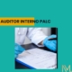 auditor interno palc