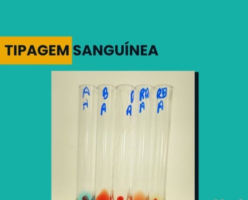 tipagem sanguínea