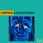 cortisol e aldosterona