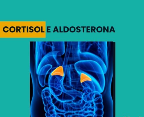 cortisol e aldosterona