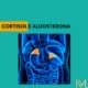 cortisol e aldosterona