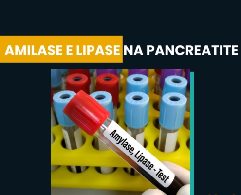 amilase e lipase