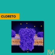 Cloreto