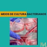 Meios de Cultura Bacterianos