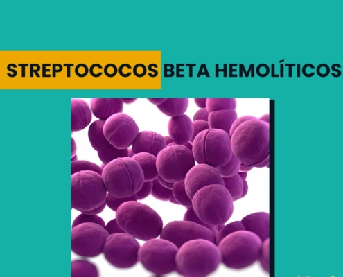 Streptococos Beta Hemolíticos