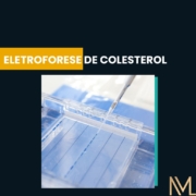 Eletroforese de Colesterol