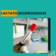 LACTATO DESIDROGENASE