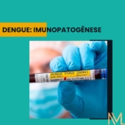 DENGUE: IMUNOPATOGÊNESE