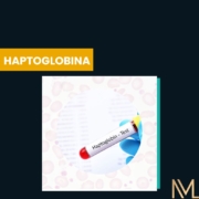 haptoglobina