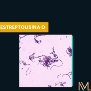 estreptolisina O