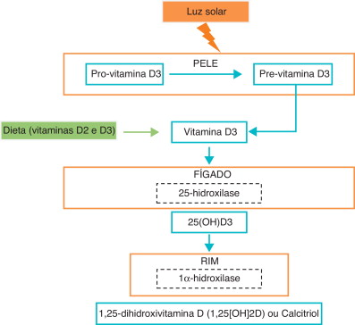 VITAMINA D