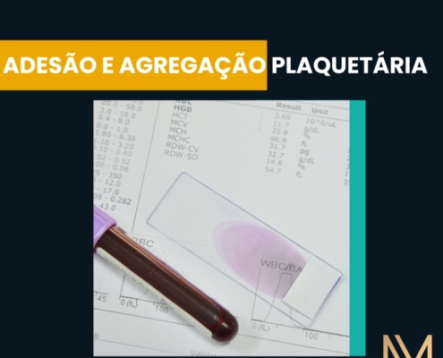 adesão e agregação