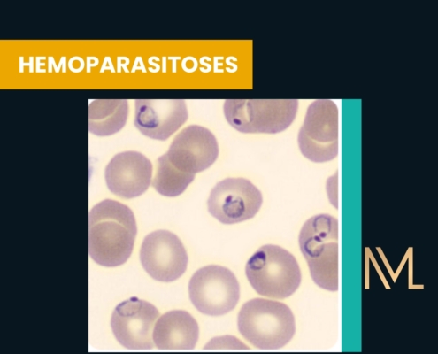 hemoparasitoses