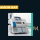 anion gap