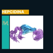 hepcidina