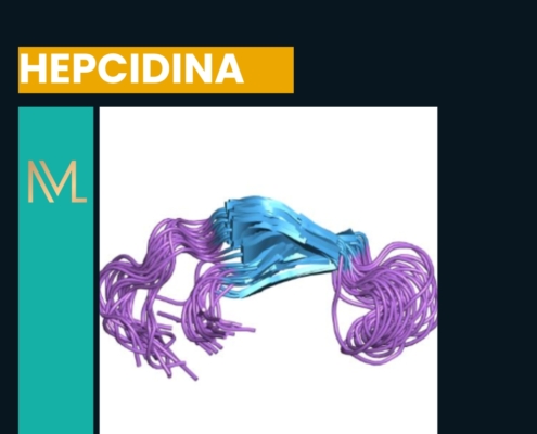 hepcidina